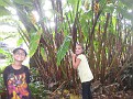 Picture 016.jpg