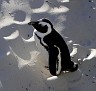 100_4997-1.jpg