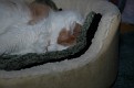 DSC 0074