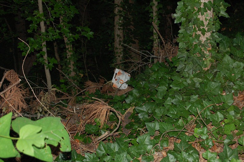 DSC 0144