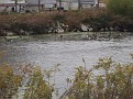 oct 25 2008 (42)