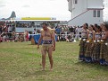 IMG 3614