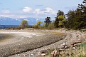 DSC_2247.jpg