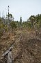 DSC_2829.jpg