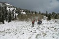 IMG 2954cr