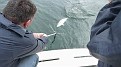 2009 06 03 06a Fishing with Ross & Ron