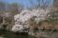IMG 8192