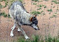 IMG 9780p