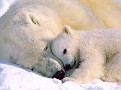 Sweet dreams