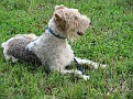 IMG 0021
