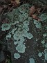 IMG 2240