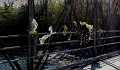 IMG 7540i