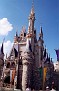 Florida 2000 030