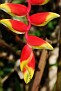 DSC_0046.JPG