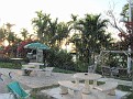 IMG 2535