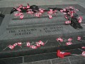 IMG 00141