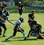 IMG 0207