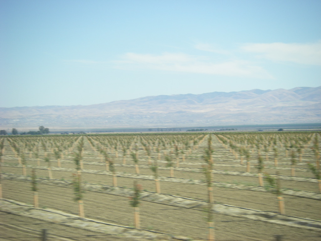 IMGP0537.JPG
