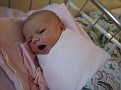 IMG 3171
