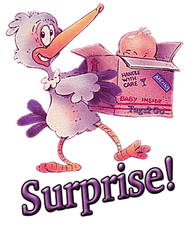 T2Go-Stork-Surprise
