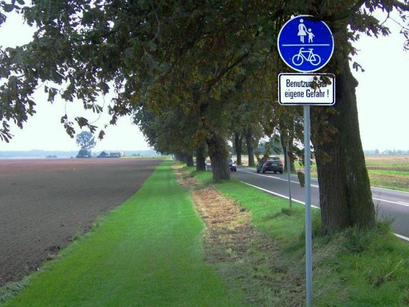 Ökologischer Radweg!
