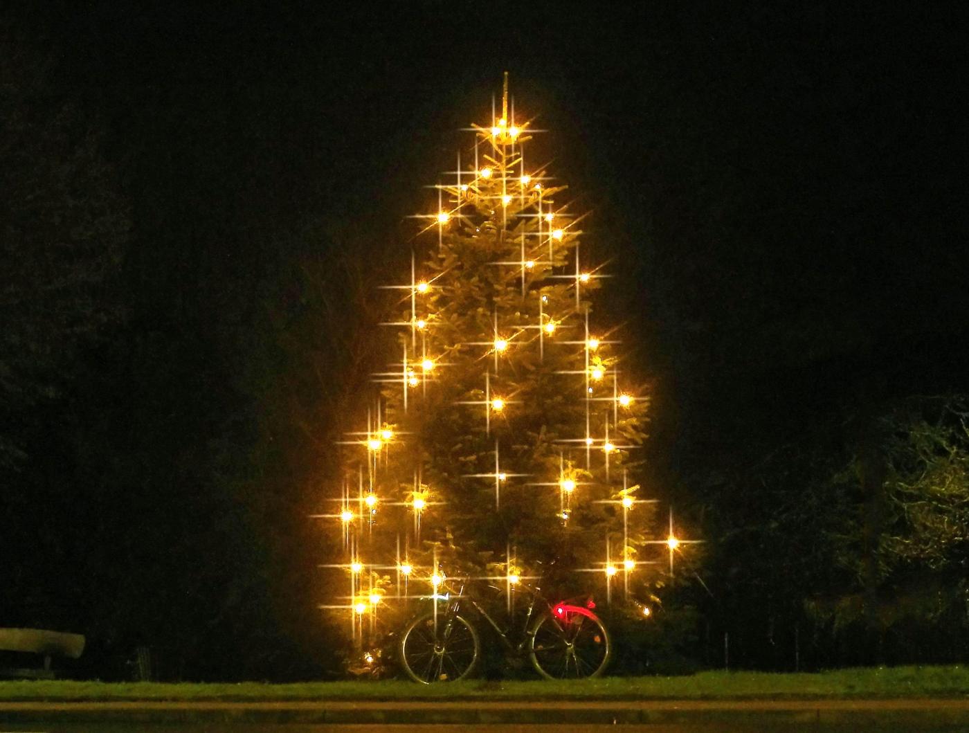 Radelnder Weihnachtsbaum :-)