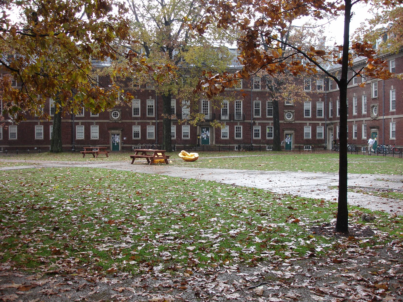 williams college quad