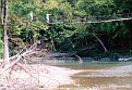 17-Swinging Bridge at Montgomery - 1995