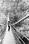 4-Swinging Bridge at Montgomery (About Feb 1982)