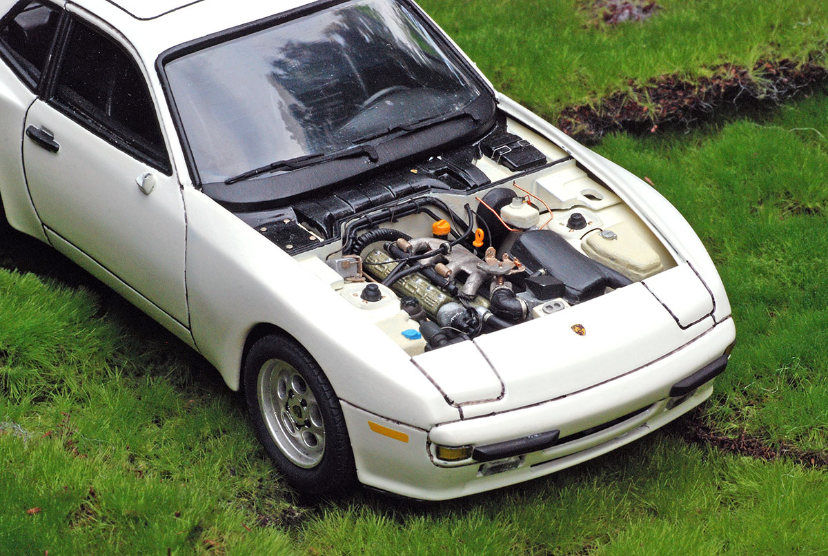 944 engine on grass DSC 5122