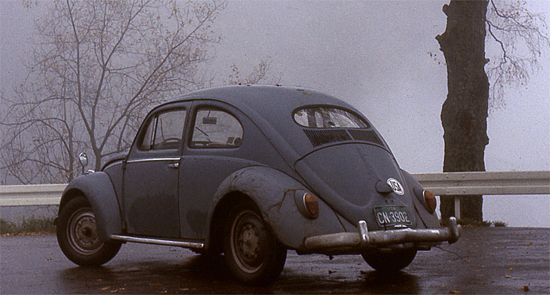 53VW Black Forest 01