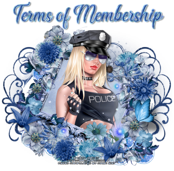 Terms of Membership TermsOfMembership-vi