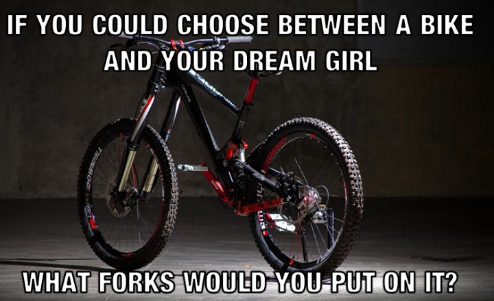 If you could choose... :o)