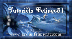 FelineC Tutorials FR & NL