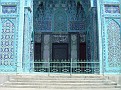 Blaue Mosche