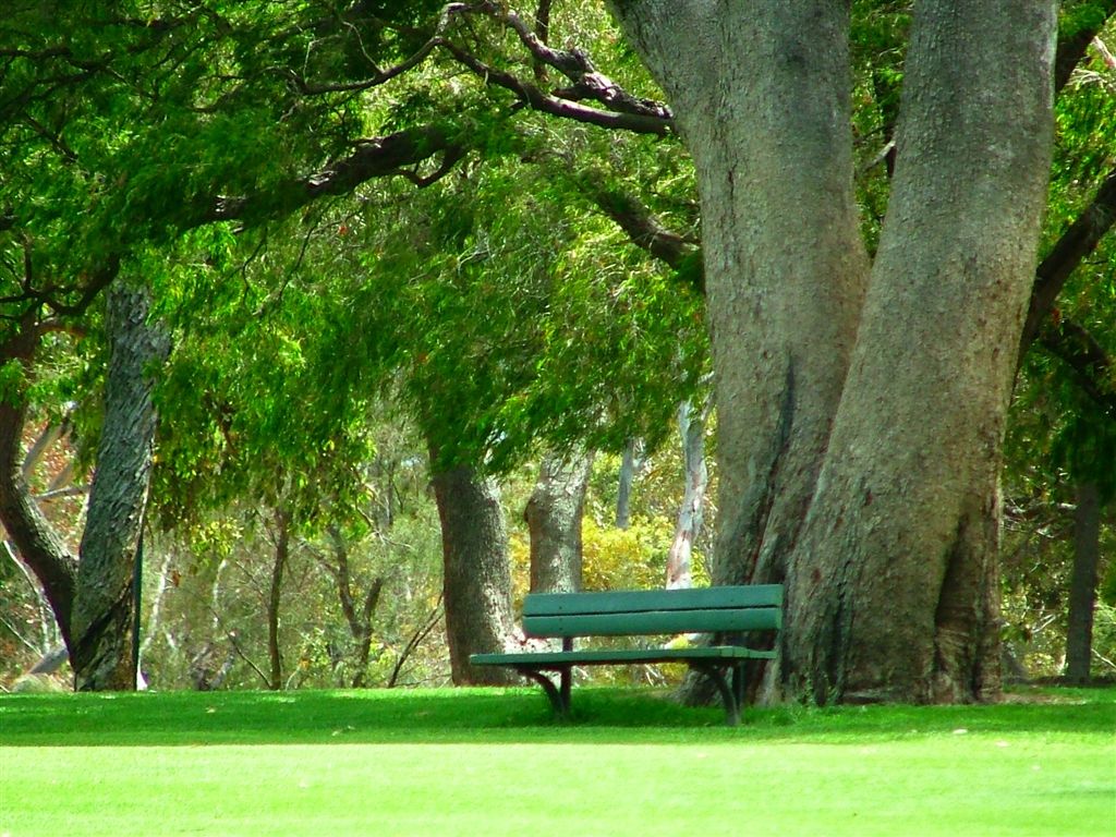 Photo Kings Park bench Kings Park Walk album ooO(PETER)Ooo Fotki