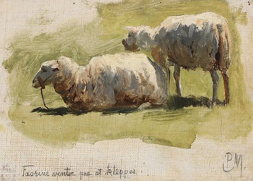 Sheep Waiting to be Sheared (undated)