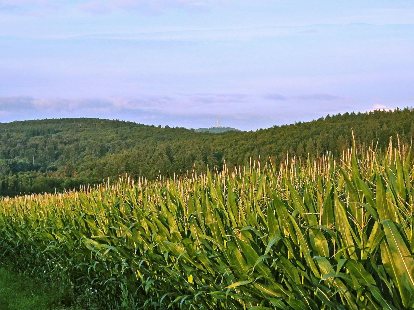 Blick zum Monte Wauwau :o)