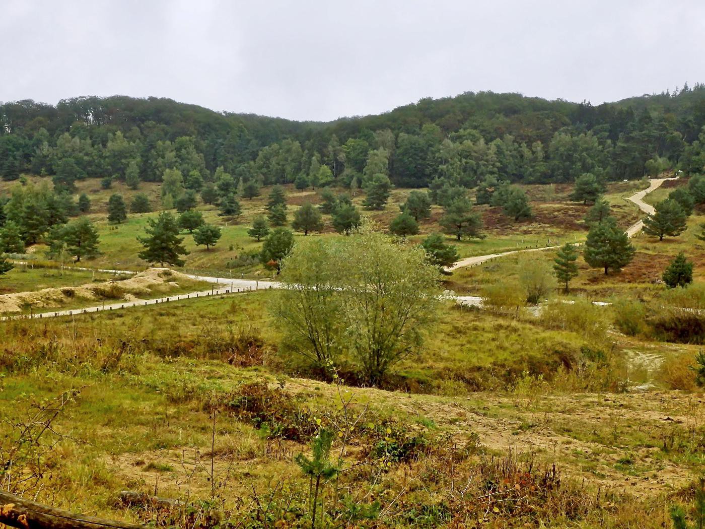 Senne am Tönsberg