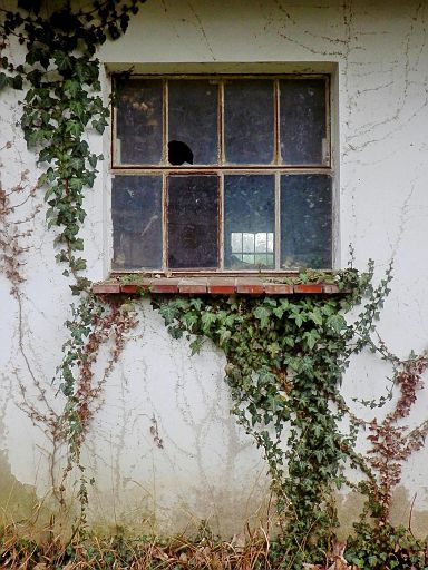 Fenster landwirtschaftliche Gebäude