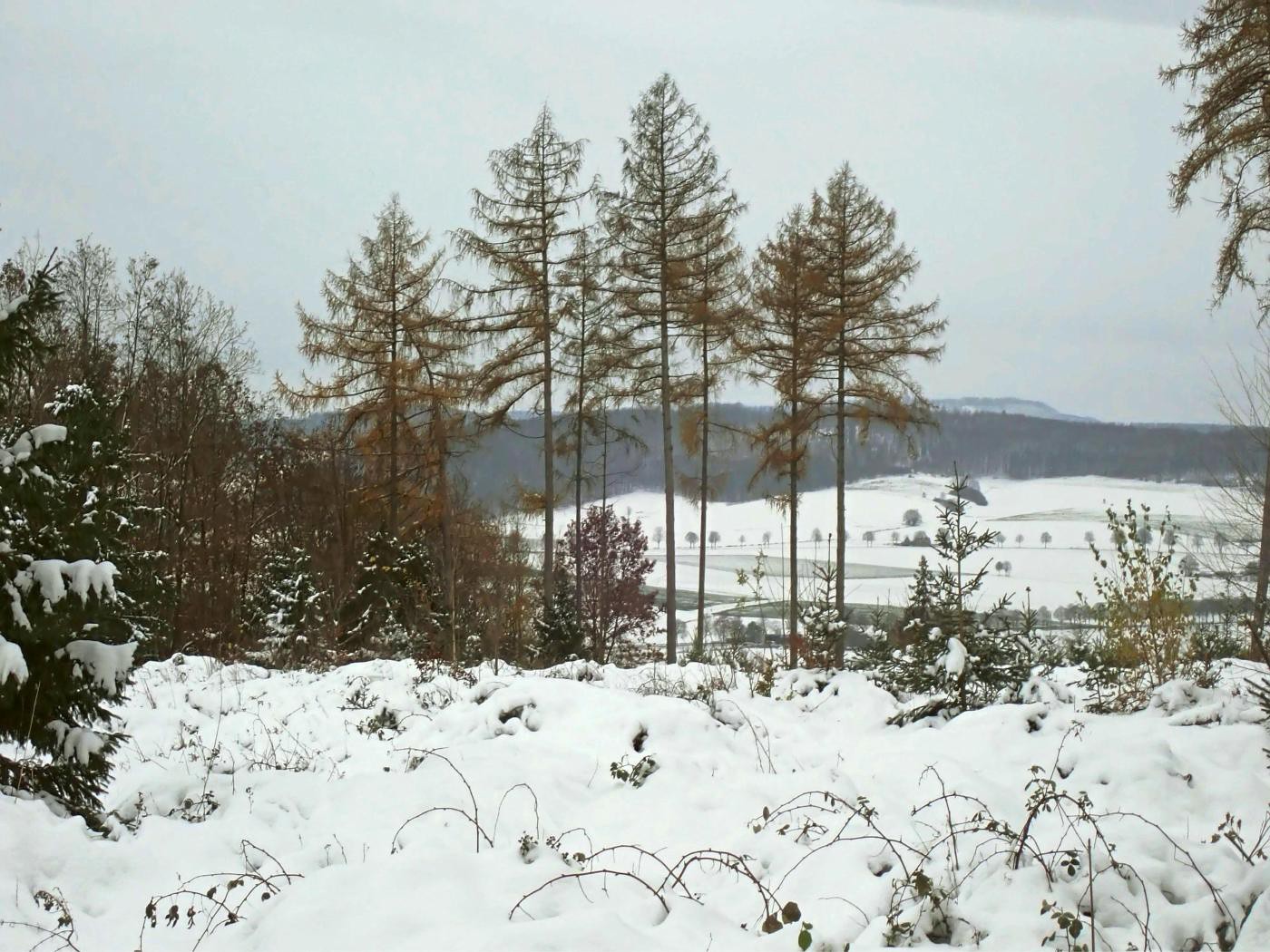 Blick Richtung Posteholz