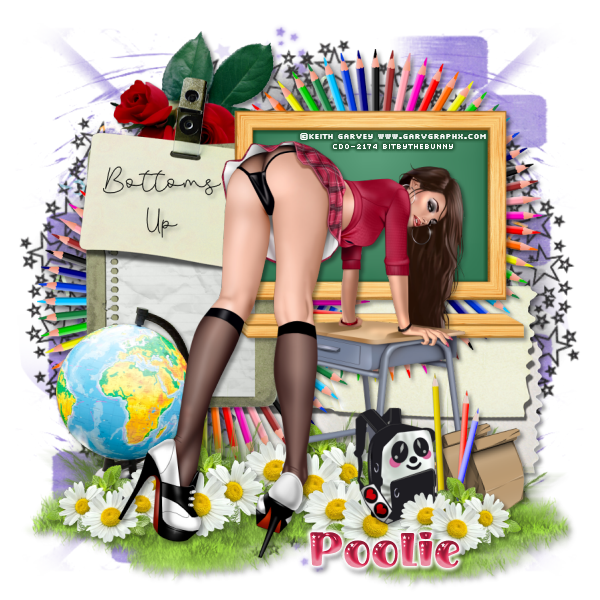 Pick Up ~ KG Teahers Pet Bottoms Up KGTeachersBU_Poolie-vi