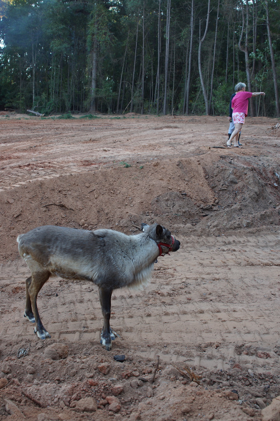 McGee Family Album Email me at photo