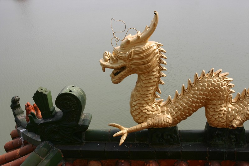 photo: dragon | left camp album | yamchild | fotki.